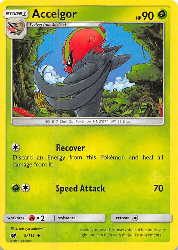 Accelgor - Pokémon