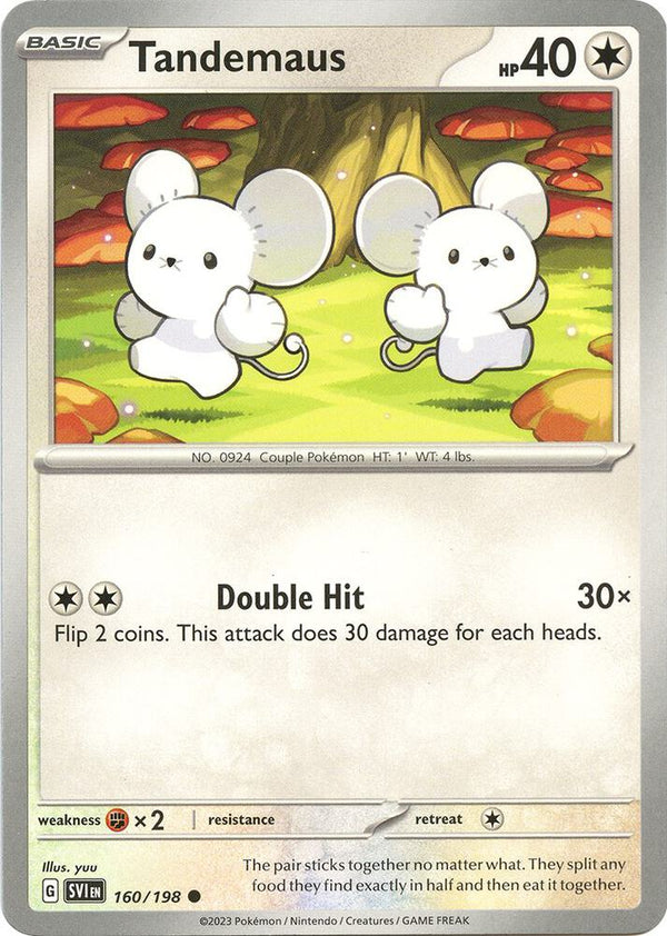 Tandemaus - 160/198 - Pokémon