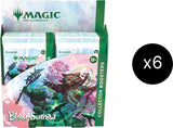 Bloomburrow - Collector Booster Display Case - Magic: The Gathering