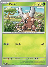 Pinsir - Pokémon