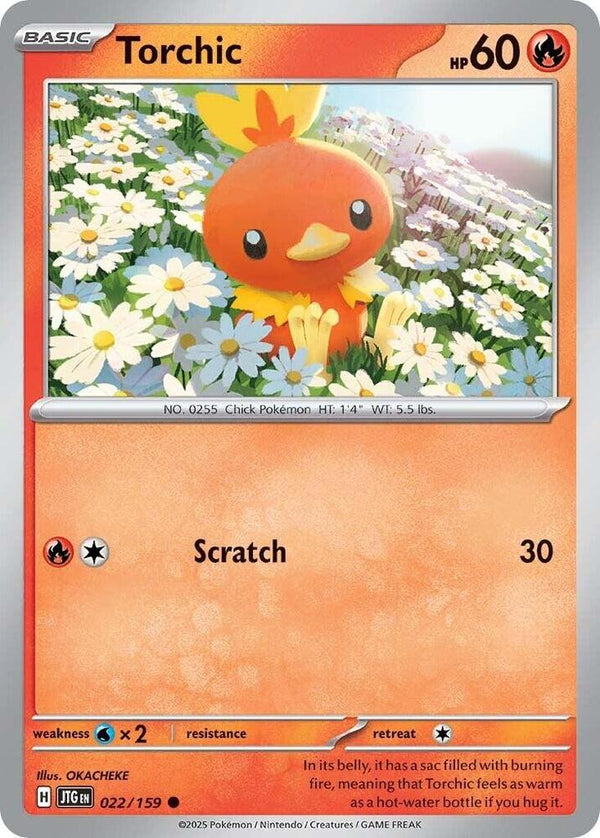 Torchic - Pokémon