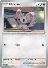 Minccino - Pokémon
