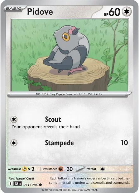 Pidove - Pokémon