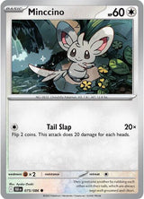 Minccino - Pokémon