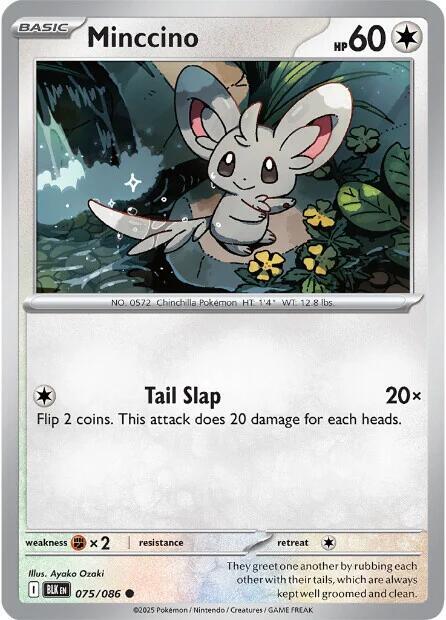 Minccino - Pokémon