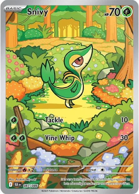 Snivy - 087/086 - Pokémon