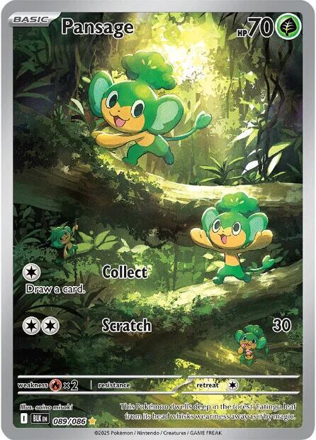 Pansage - 089/086 - Pokémon