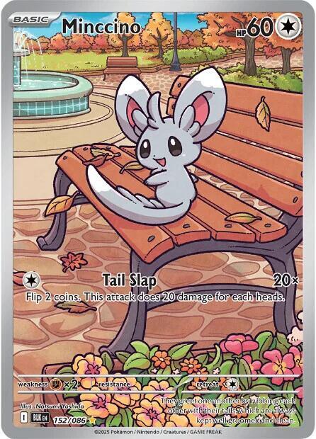 Minccino - 152/086 - Pokémon