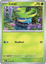 Lotad - Pokémon