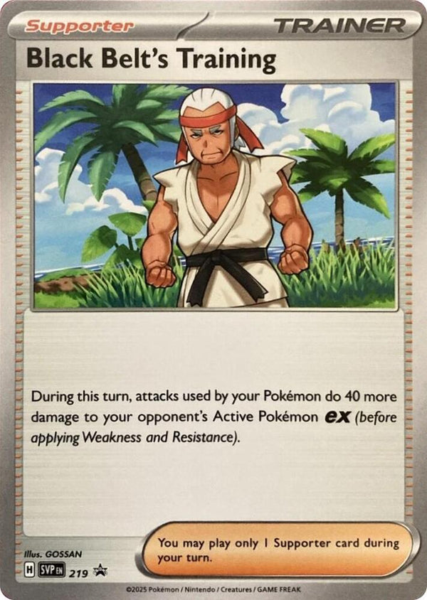 Black Belt's Training - 219 - Pokémon