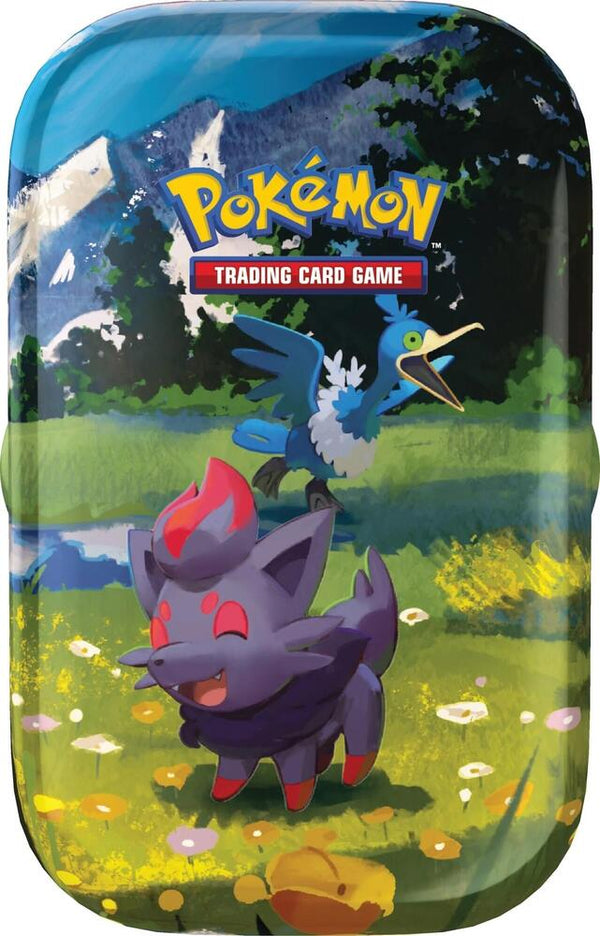 Ascended Heroes Mini Tin [Zorua & Cramorant] - Pokémon