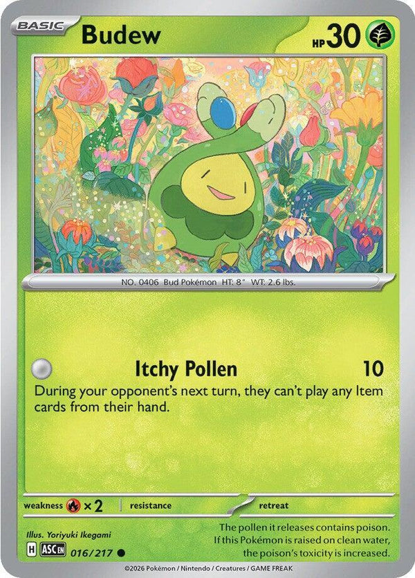 Budew - 016/217 - Pokémon