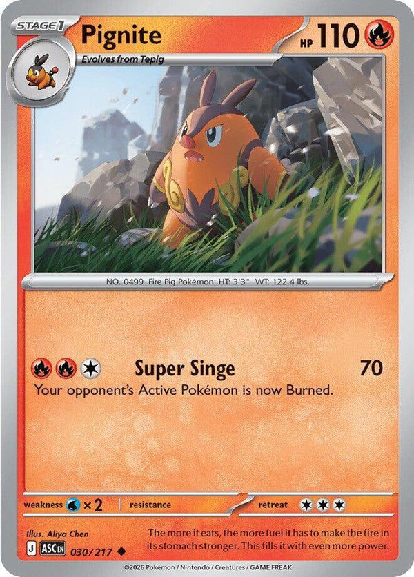 Pignite - Pokémon