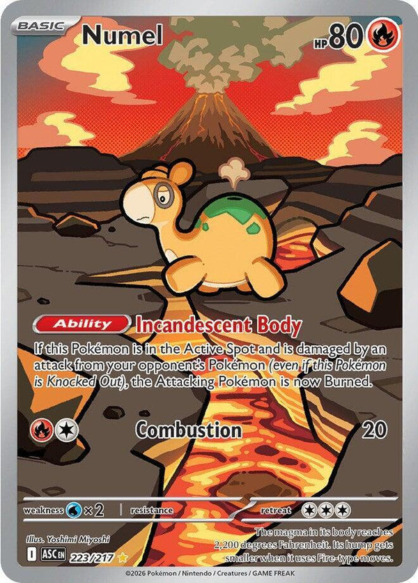 Numel - 223/217 - Pokémon