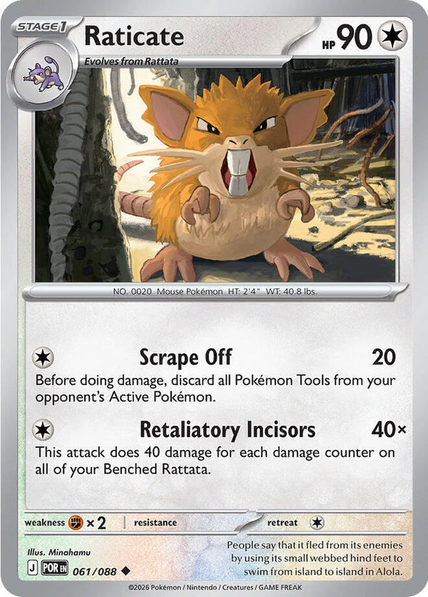 Raticate - 061/088 - Pokémon
