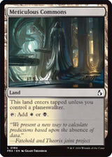 Meticulous Commons (FRA 184) - Magic: The Gathering