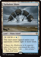 Turbulent Shore (GROUP-24689 17) - Magic: The Gathering