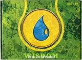 Theros Prerelease Kit - Path of Wisdom - Magic: The Gathering