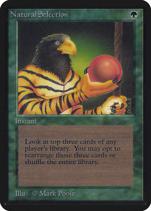 Natural Selection - Magic: The Gathering