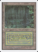 Bayou - Magic: The Gathering