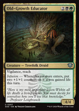 Old-Growth Educator (SOS 207) - Magic: The Gathering